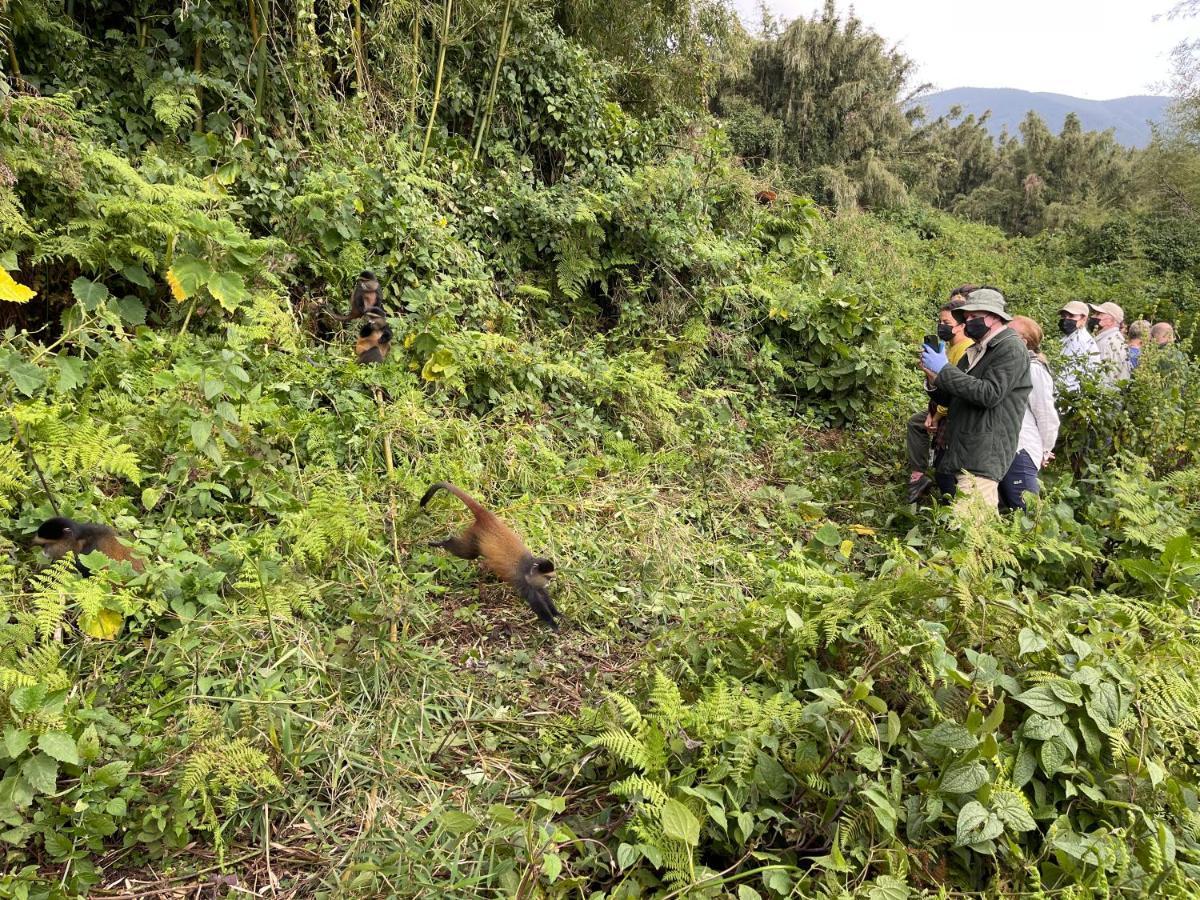 Virunga Homes Ruhengeri Dış mekan fotoğraf
