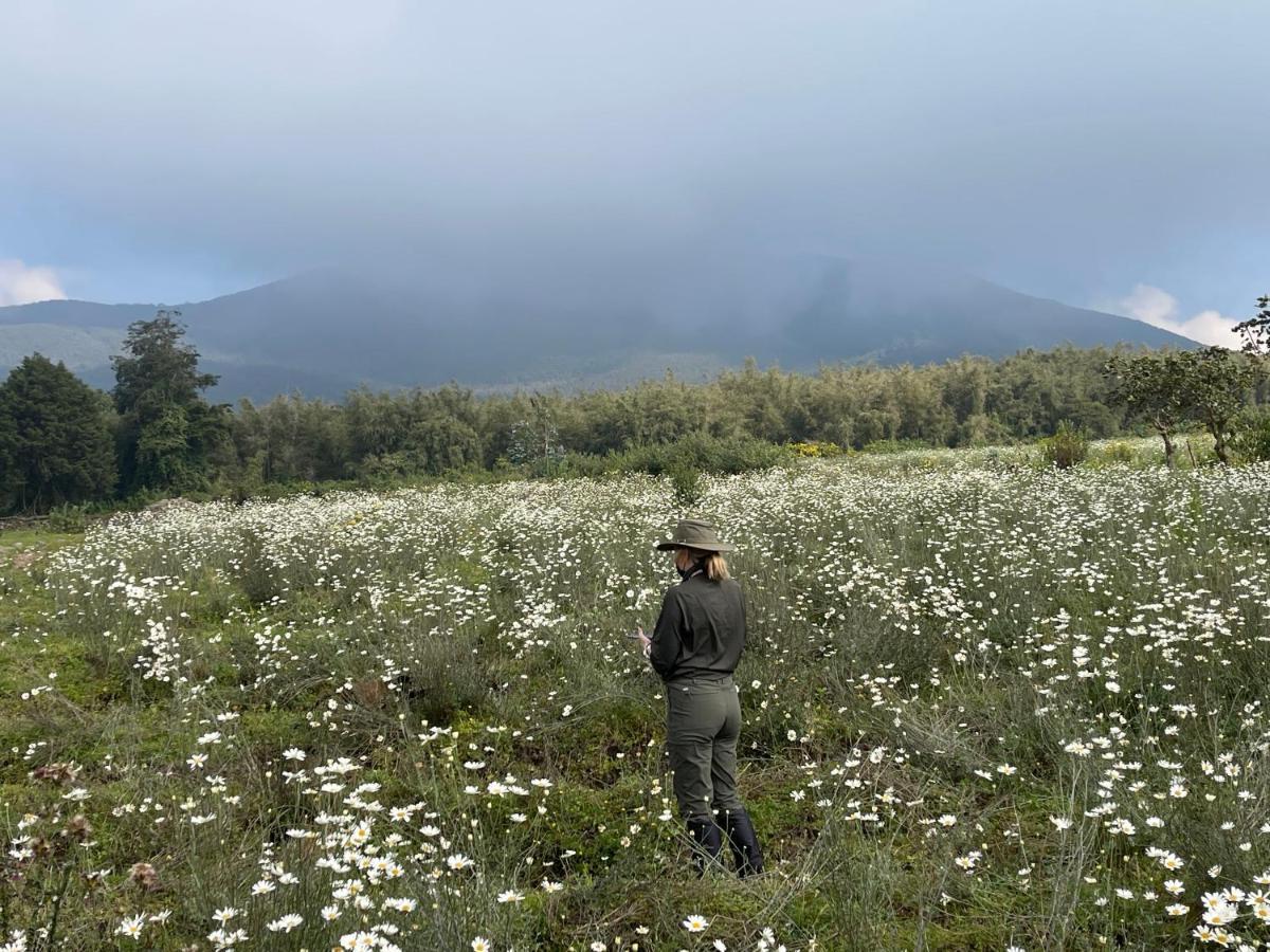 Virunga Homes Ruhengeri Dış mekan fotoğraf