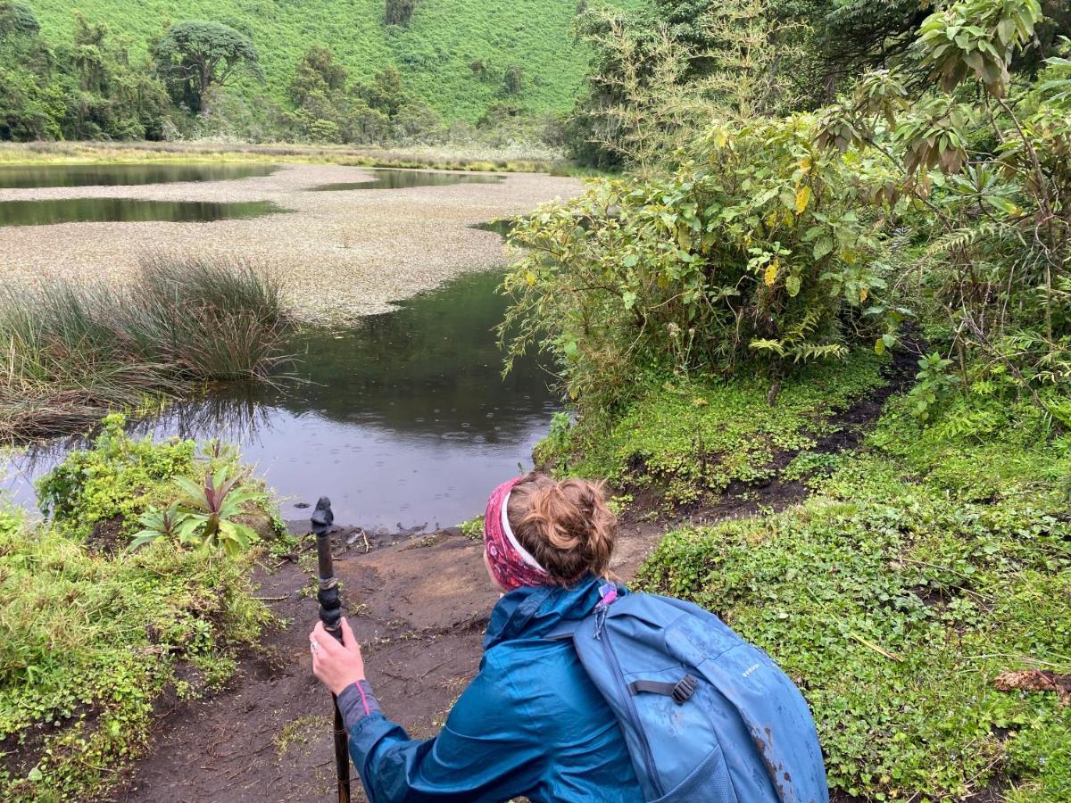 Virunga Homes Ruhengeri Dış mekan fotoğraf